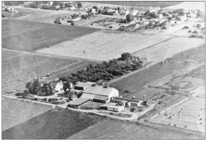 A black and white areal view of a small number of home surrounded by agricultural fields.